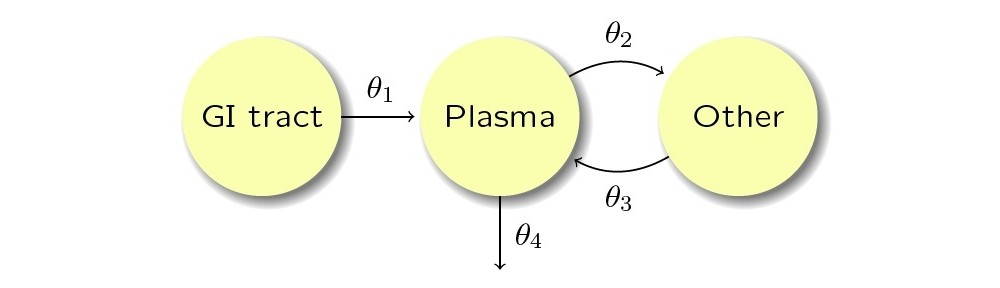 Phamacokinetics & Pharmacodynamics